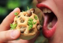 The Edible Growth project: a study into sustainable, healthy 3D printed food