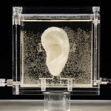 Artist 3D printed Vincent van Gogh's ear using relative's DNA