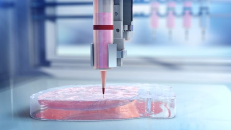 Biolife4D plans to start 3D printing of human hearts for transplant