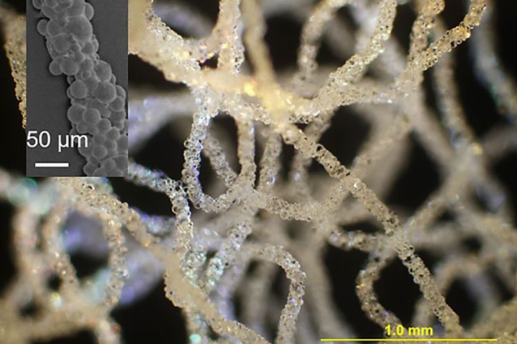 Scientists invent unique way of 3D printing in water