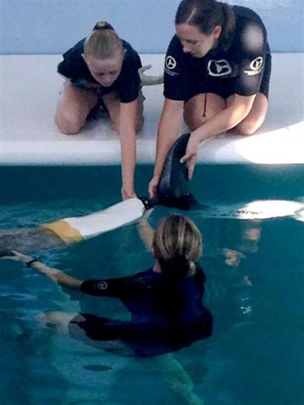 Ten-year-old Dolphin-loving girl gifted with special 3D printed prosthetic arm