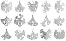 Nervous System creates folium algorithmic jewelry